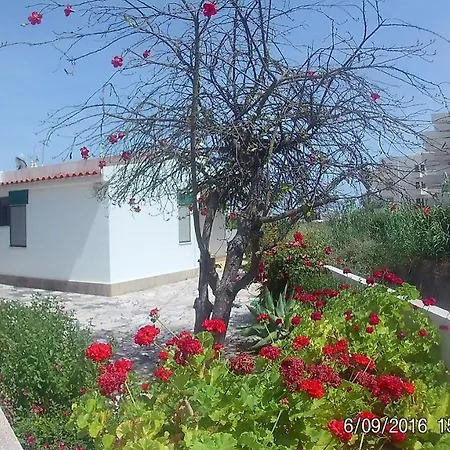 Casa Da Avo